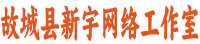 故城新宇网络